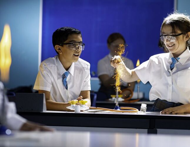 Science Fair Winners